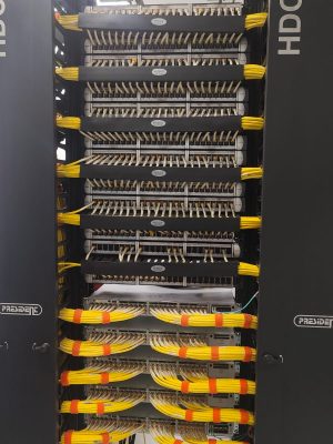 WhatsApp Image 2025-08-14 at 6.10.23 PM (1)