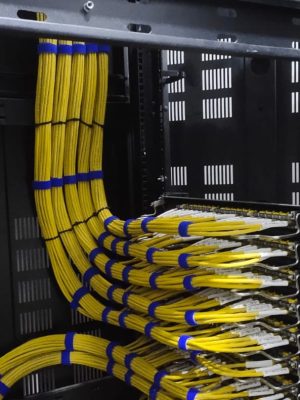 WhatsApp Image 2025-08-14 at 6.23.54 PM