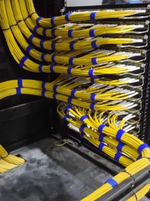 WhatsApp Image 2025-08-14 at 6.23.56 PM