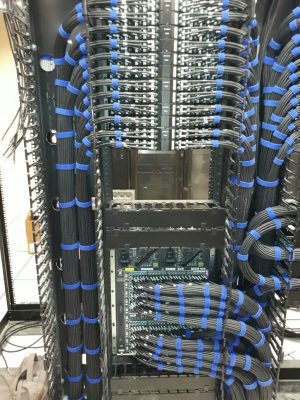 WhatsApp Image 2025-08-14 at 6.24.05 PM