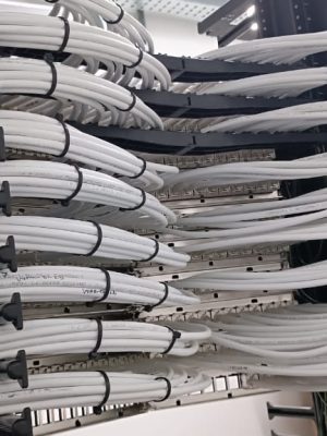 WhatsApp Image 2025-08-14 at 6.24.09 PM