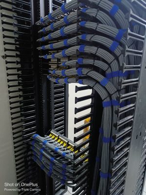 WhatsApp Image 2025-08-14 at 6.24.47 PM